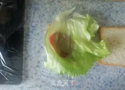 Make Homemade sandwiches step 9
