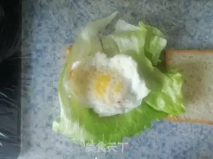 Make Homemade sandwiches step 10