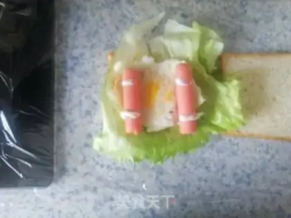 Make Homemade sandwiches step 12
