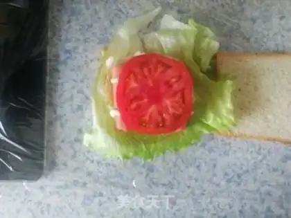 Make Homemade sandwiches step 13