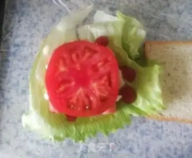 Make Homemade sandwiches step 14