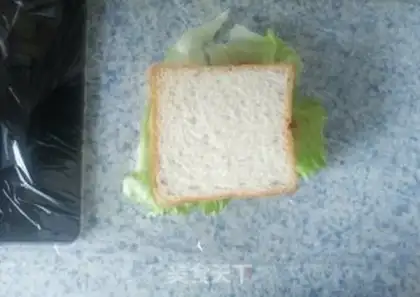Make Homemade sandwiches step 15