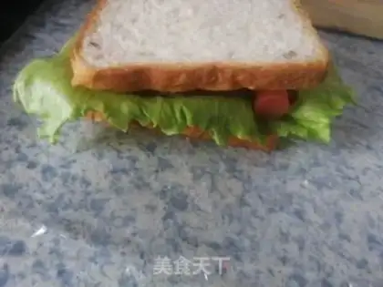 Make Homemade sandwiches step 16