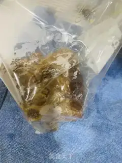 Make Homemade simple pork elbows step 7