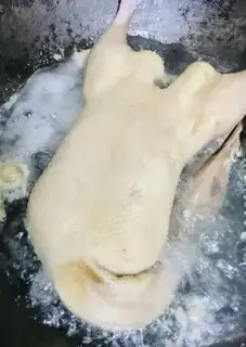 Make Halo duck step 2