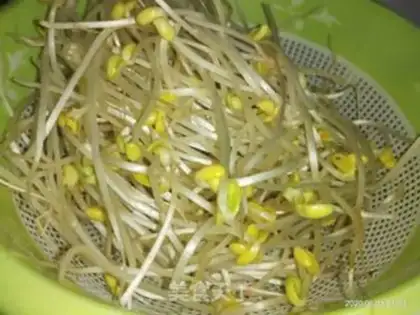 Make Bean sprouts step 1