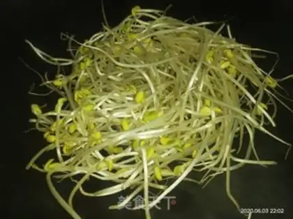 Make Bean sprouts step 4
