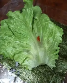 Make Home snack step 7