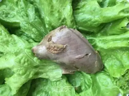 Make Pigeon meat sandwich step 3