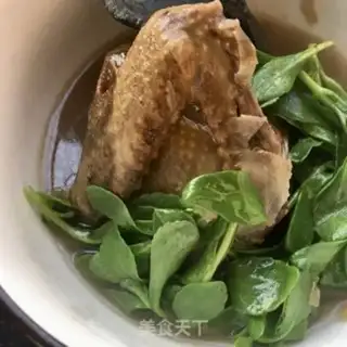 Make Creaming pigeon soup step 7