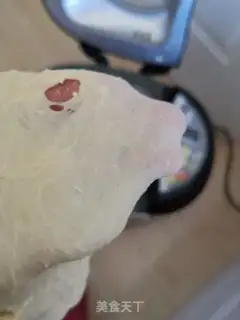 Make Toast bread step 2