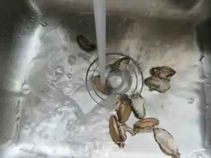 Make Bones soup step 1