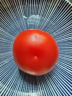Make Sugar and tomato step 0
