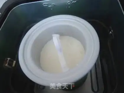 Make Lemon milk ice cream step 7