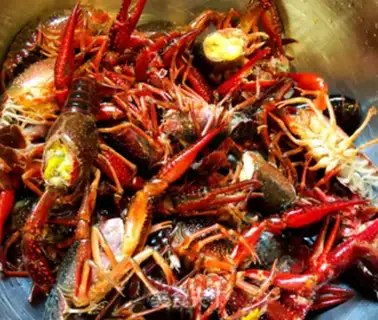 Make Thirteen crayfish step 0