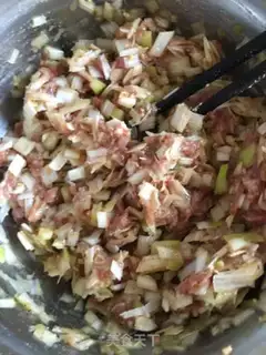 Make Onion pork pie step 2