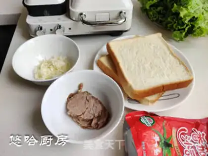 Make A halogen beef cheese sandwich step 0