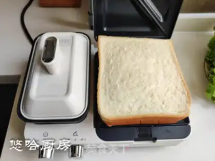 Make A halogen beef cheese sandwich step 3