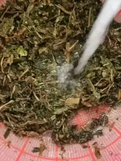 Make Plum chow step 0