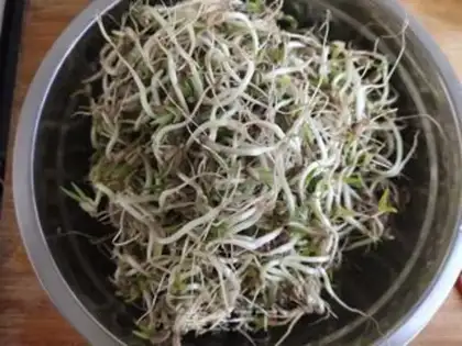 Make Jealousy bean sprouts step 0