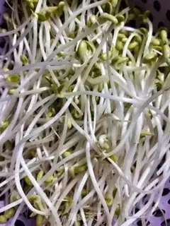 Make Cold veggie step 1