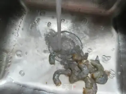 Make Serial step 5