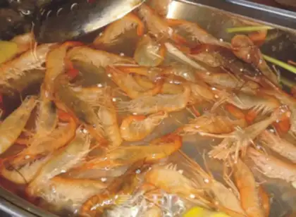 Make Salt-water shrimp step 2