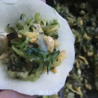Make Shrimp egg cucumber dumplings step 8