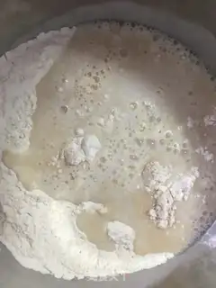 Make Soybean slag step 2