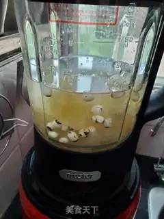 Make Silver Ears Spill step 3