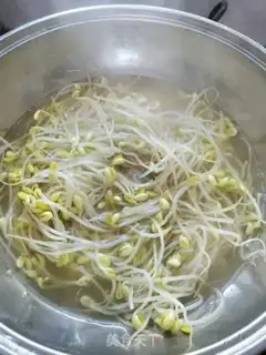 Make A soybean sprouts step 3