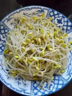 Make A soybean sprouts step 4