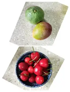Make ♪ Flowers and fruit ♪ step 0