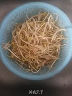 Make A sprout fan step 0