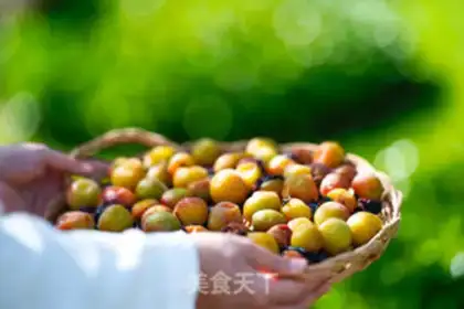 Make Natural plum dry step 7