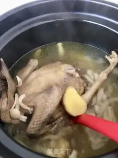 Make White mushroom stew pigeon step 8
