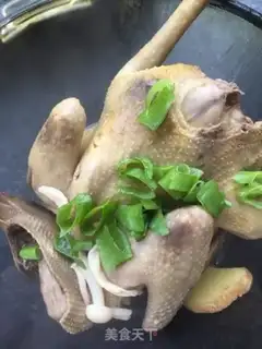 Make White mushroom stew pigeon step 10