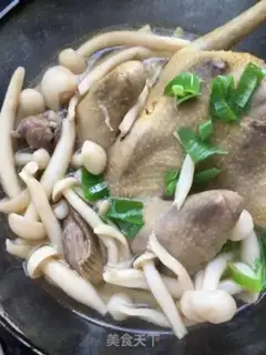 Make White mushroom stew pigeon step 11