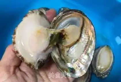 Make Abalone step 0