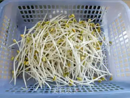 Make Soccer bean sprouts step 0