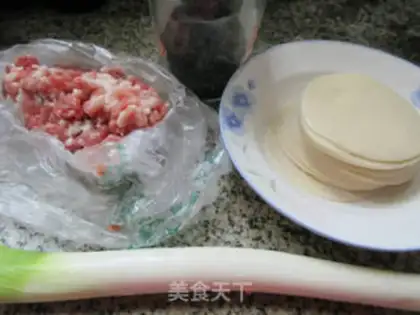 Make Onion pan sticker step 0