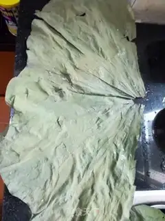 Make Chicken step 6