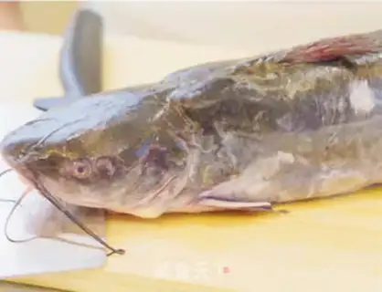Make Cinderfish step 0