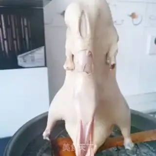 Make Duck step 4