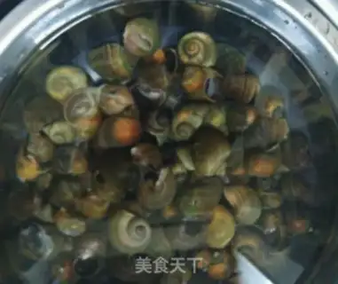 Make Lucky snail step 0