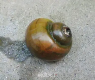 Make Lucky snail step 1