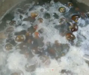Make Lucky snail step 2