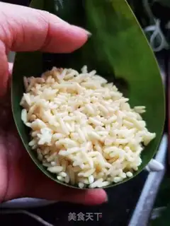 Make Bean salin step 4