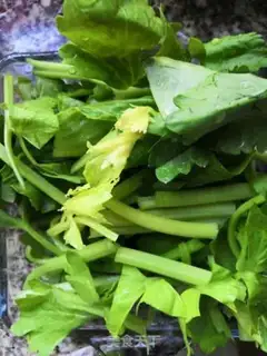 Make Celery toaster step 5