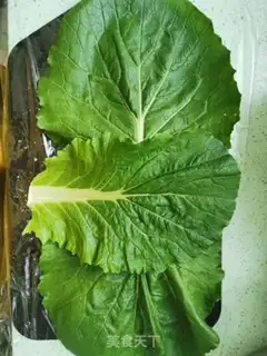 Make The cabbage step 7